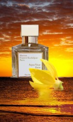Aqua Vitae Forte by Maison Francis Kurkdjian